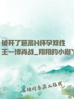 被开了苞高H怀孕双性王一博肖战