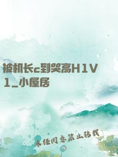 被机长c到哭高H1V1