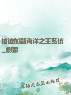被迫加载海洋之王系统