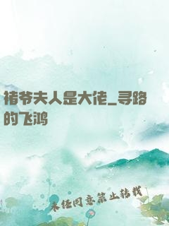 褚爷夫人是大佬