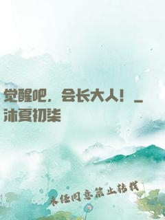 觉醒吧，会长大人！