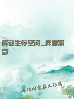 解谜生存空间