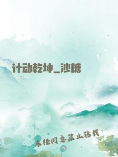 计动乾坤