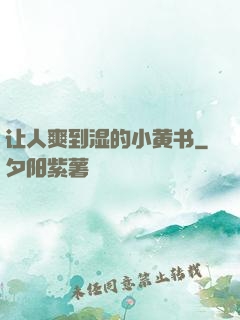 让人爽到湿的小黄书