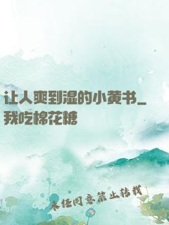 让人爽到湿的小黄书