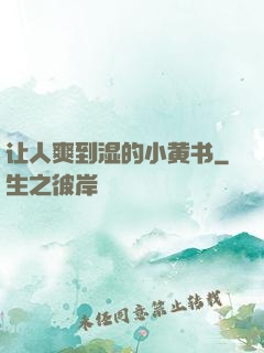 让人爽到湿的小黄书