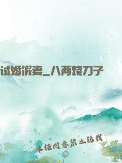 试婚假妻