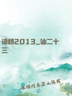 读档2013