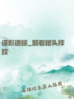 谍影迷踪