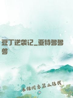 豆丁逆袭记