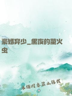 豪婿弃少