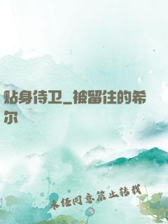 贴身侍卫
