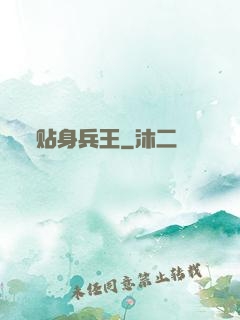 贴身兵王