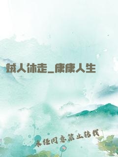 贼人休走