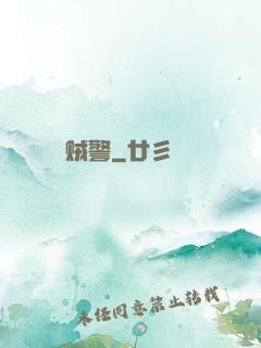 贼警
