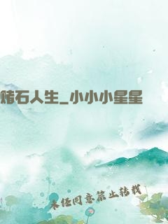 赌石人生