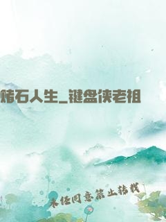 赌石人生