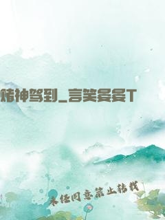 赌神驾到