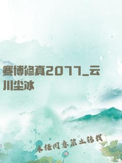 赛博修真2077