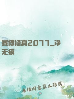 赛博修真2077