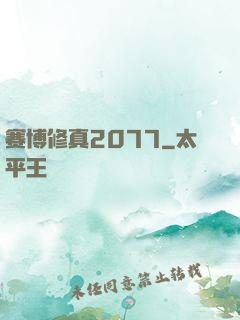 赛博修真2077