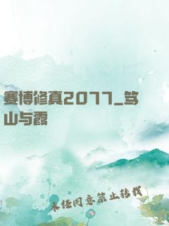 赛博修真2077