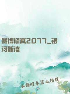 赛博修真2077
