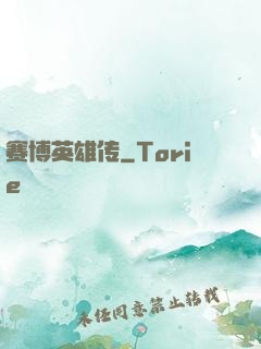 赛博英雄传