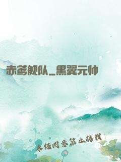 赤鸢舰队