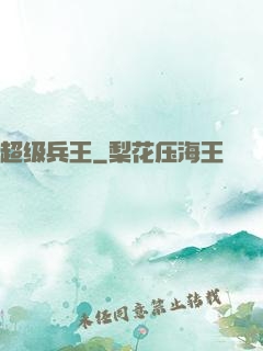 超级兵王
