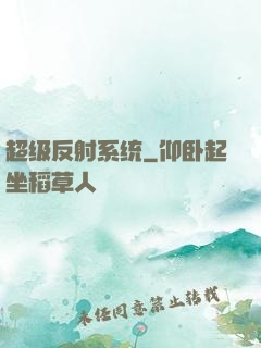 超级反射系统