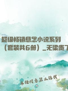 超级畅销悬念小说系列（套装共6册）