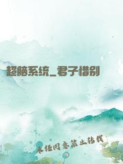 超脑系统