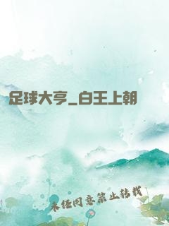 足球大亨