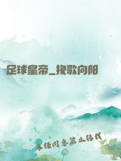足球皇帝