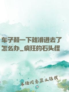 车子颠一下就滑进去了怎么办