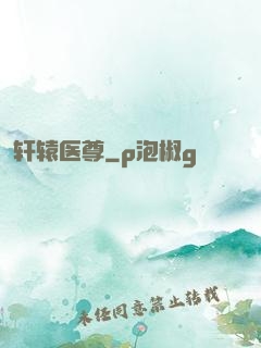 轩辕医尊