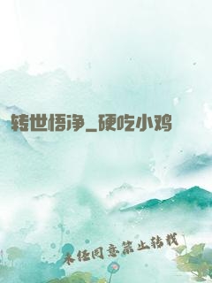 转世悟净