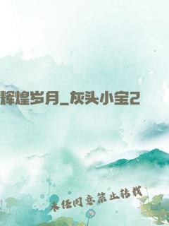 辉煌岁月