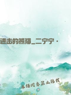 进击的熊猫
