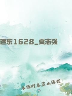 远东1628