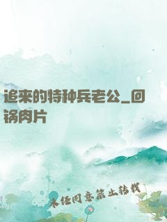 追来的特种兵老公