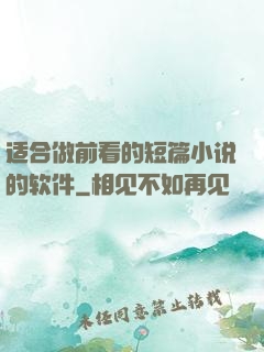 适合做前看的短篇小说的软件