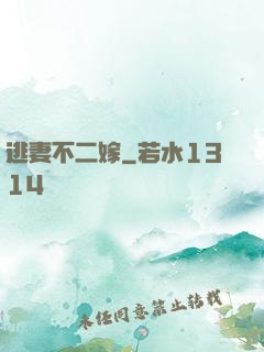 逃妻不二嫁