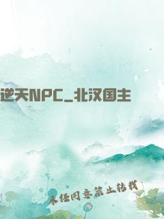 逆天NPC
