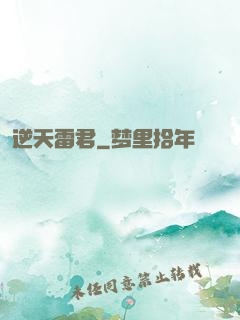 逆天雷君