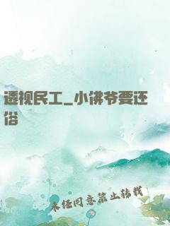 透视民工