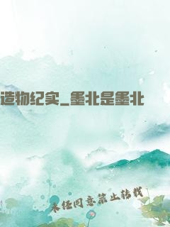 造物纪实