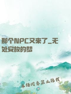 那个NPC又来了