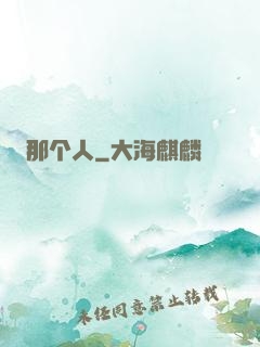 那个人